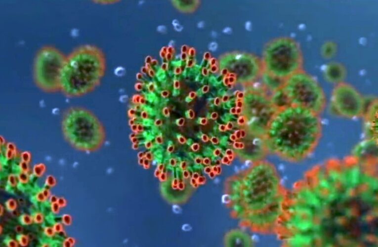 В Покровске зафиксирован новый случай коронавируса