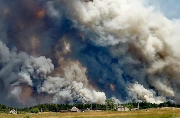 В Луганской области горит лес, пять человек погибло
