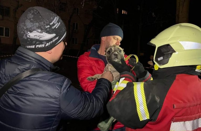 У Запоріжжі з-під завалів зруйнованого будинку витягли тіла п’яти загиблих