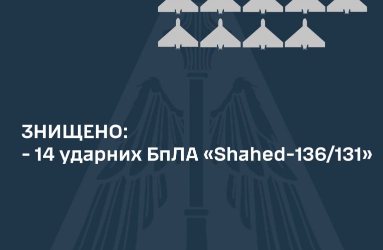ЗСУ знищили 14 ударних безпілотників військ РФ у небі на півдні України