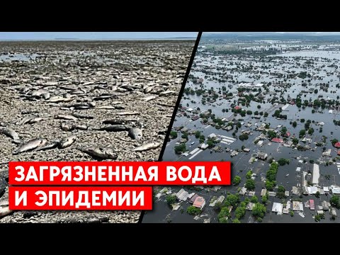 Лівий берег Херсонщини: Число загиблих після знищення Каховської ГЕС зросло до 17