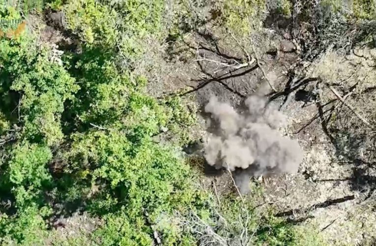 Третя штурмова бригада ЗСУ показала, як за допомогою БПЛА атакує військових РФ