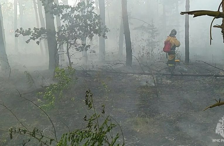 На окупованій Луганщині горіло 25 га сухостою