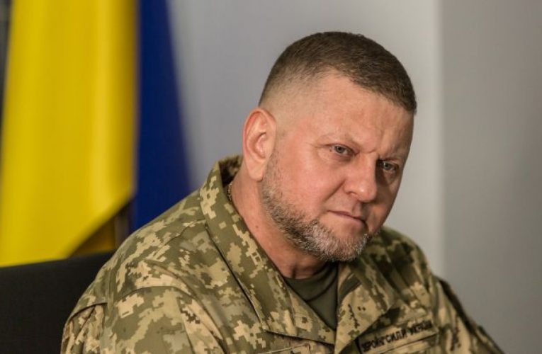 Україна вже має можливості для знищення ворога — Залужний