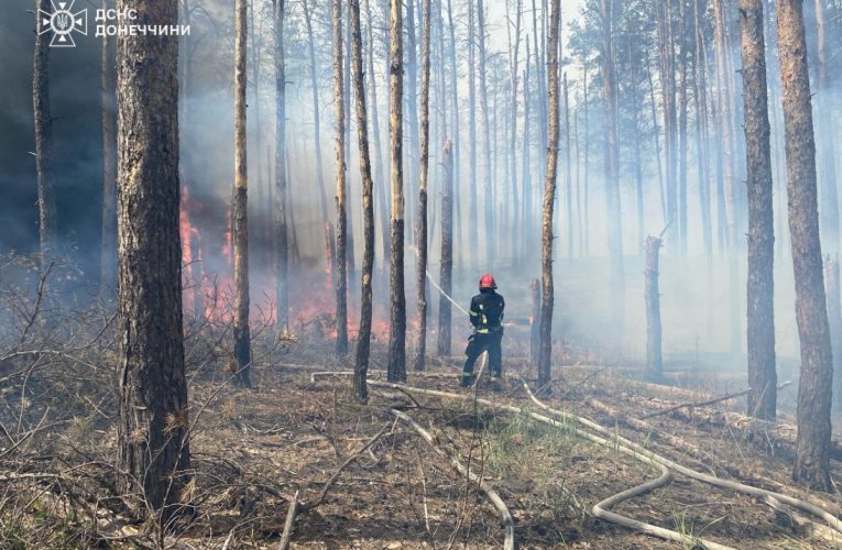 РФ обстріляла Національний природний парк «Святі гори» на Донеччині: виникла масштабна пожежа