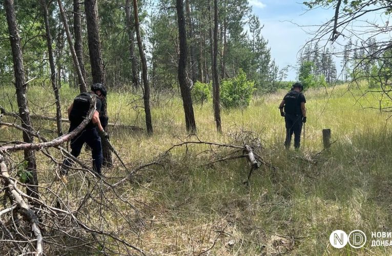 Пожежі в лісах Донбасу: міни та розтяжки заважають гасити вогонь