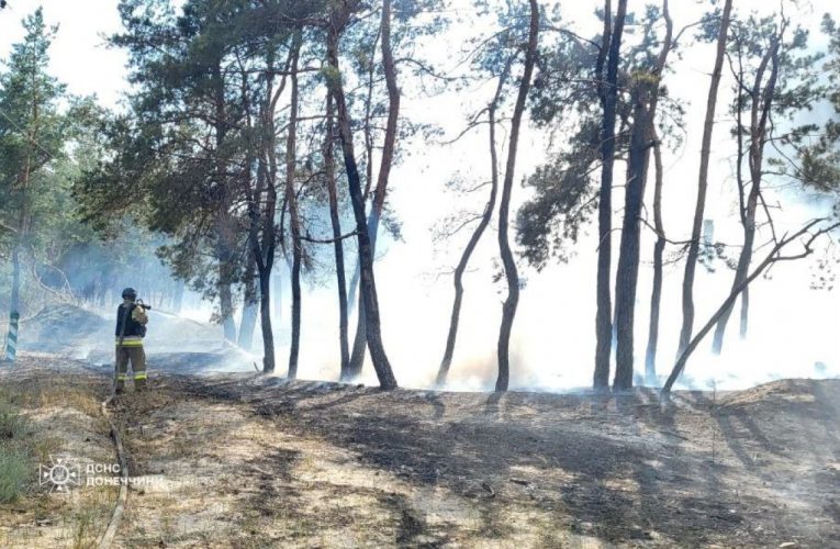 Російські окупанти вдарили по Щуровому: виникла пожежа в лісі, рятувальники потрапили під повторний обстріл