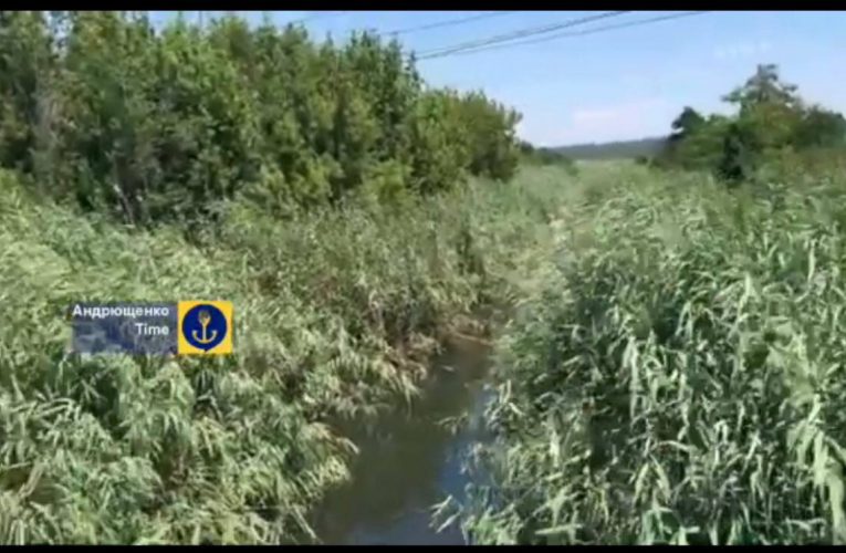 Екоцид у Маріуполі: окупанти перетворили річку Кальчик на болото