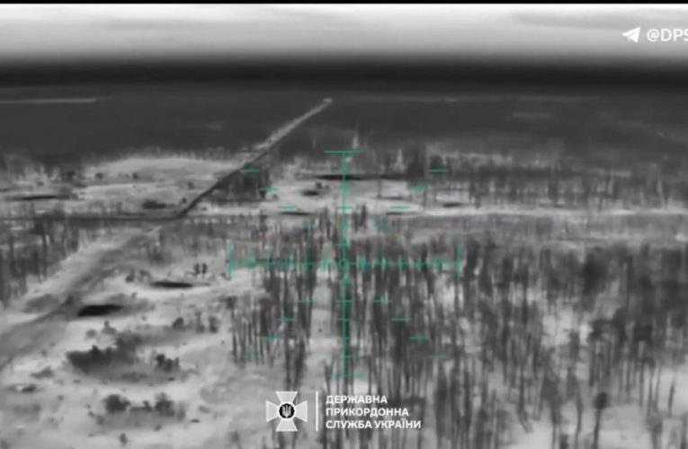 Прикордонники дронами знищили позиції ЗС РФ у Серебрянському лісі