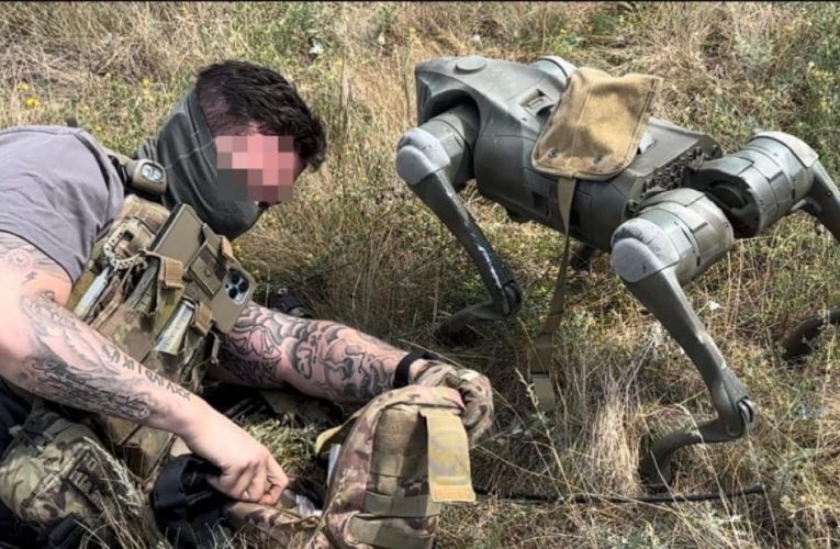 На фронті у Донецькій області ЗСУ використовують понад 30 британських собак-роботів