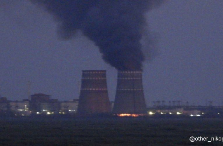 Пожежа на території Запорізької АЕС: що відомо