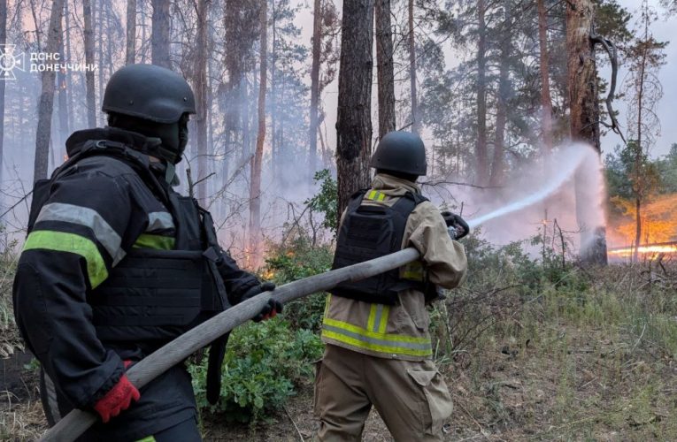 Пожежу в національному природному парку «Святі гори» на Донеччині гасять третю добу
