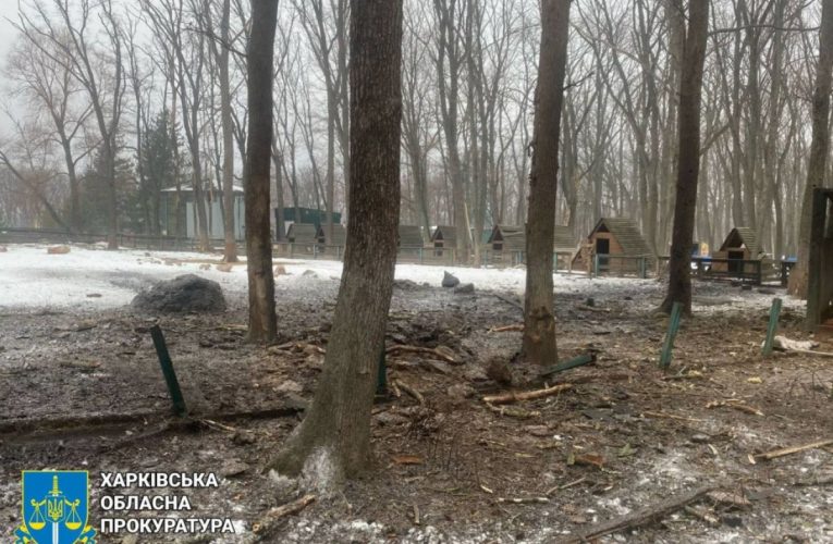 Дрон РФ вдарив по екопарку під Харковом: загинули тварини