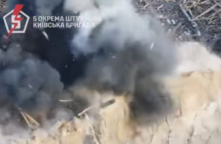 ЗСУ знищили піхоту російської армії на Покровському напрямку